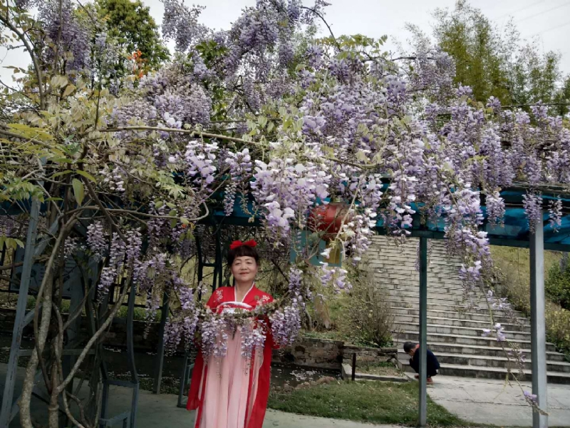 莉莉的第一张照片--霞浦征婚网
